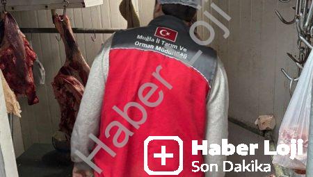 Menteşe’de Gıda Güvenliği Seferberliği: Kasaplar ve Et Tesisleri Denetlendi