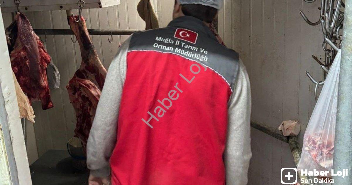 "Menteşe'de Gıda Güvenliği Seferberliği: Kasaplar ve Et Tesisleri Denetlendi" başlıklı haber için fo