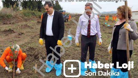 Dalaman Açık Cezaevi’nde Tarımsal Atılım: Sakız Ağaçları Toprakla Buluştu