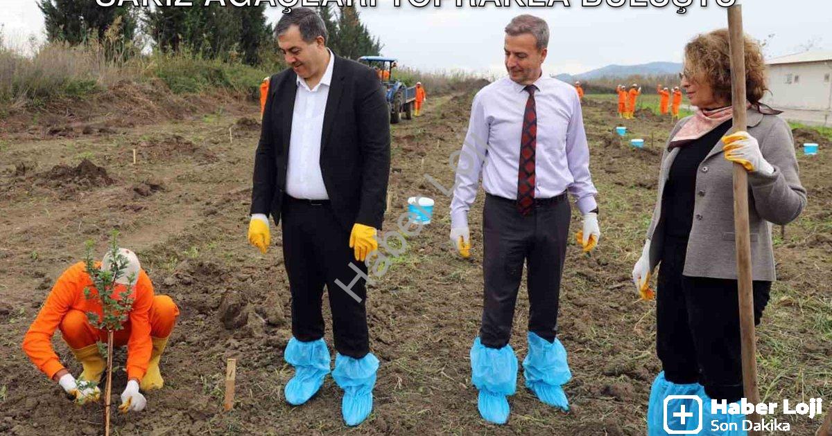 "Dalaman Açık Cezaevi'nde Tarımsal Atılım: Sakız Ağaçları Toprakla Buluştu" başlıklı haber için foto